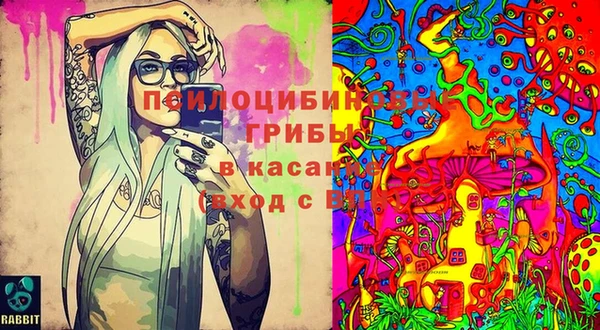 бошки Горнозаводск
