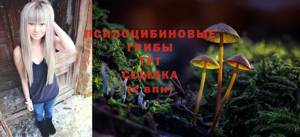 мефедрон Гусиноозёрск